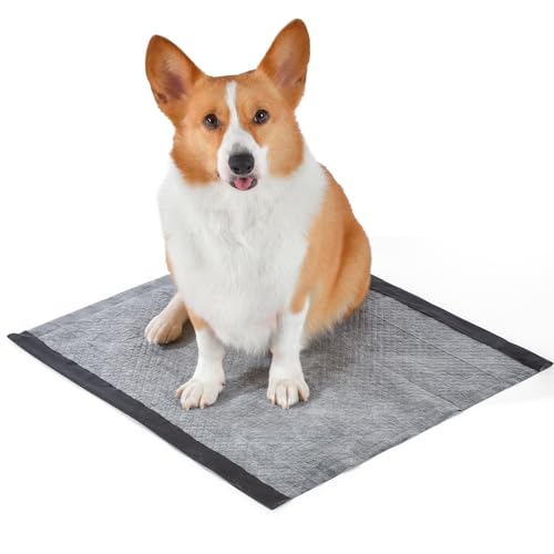 Glad for Pets Dual Action Freshness Activated Carbon Puppy Training Pads with Fragrance Release, Scented Pee Pads, Ultra Absorbe